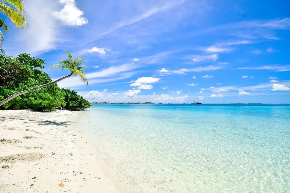 Tropical beach with palm trees and turquoise water
